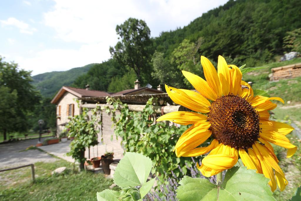 Agriturismo Ca Sonino Bettola  Екстер'єр фото