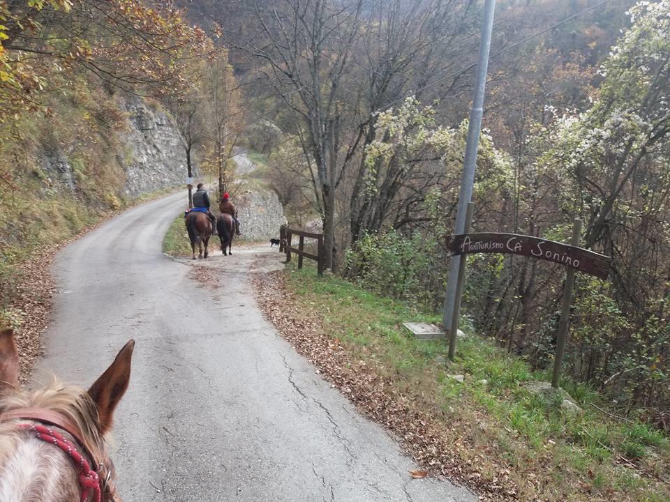Agriturismo Ca Sonino Bettola  Екстер'єр фото
